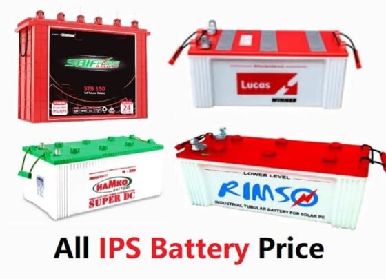 ips battery price in bangladesh
